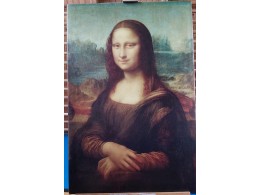 Leonadro da Vinci