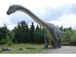 Muzeum dinosaurů