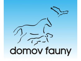 Další akce naší hrachovské výpravy