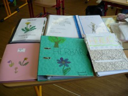 Červen - Herbář
