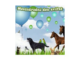 Jak oslavíme naše chlupaté kamarády