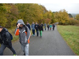 Exkurze Koněpruské jeskyně