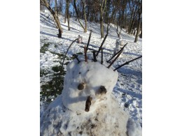Radovánky na sněhu