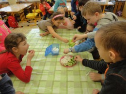 Projektový den- Ovoce a zelenina