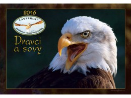 Dravci na lounské obloze