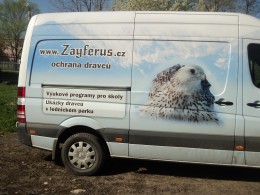 Zayferus