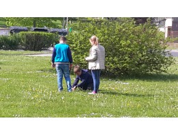 Herbář