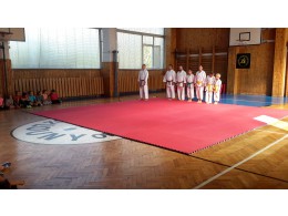 Ukázka karate