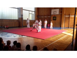 Ukázka karate
