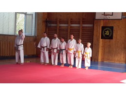 Ukázka karate