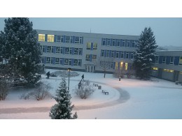 Frozen