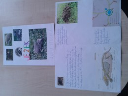 Vlastivědno-přírodovědné projekty
