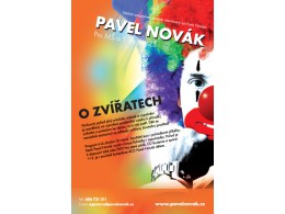Koncert Pavla Nováka