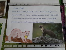 Máme rádi zvířata