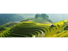Svět kolem nás - Vietnam