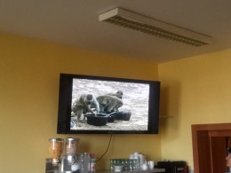 Beseda o Africe