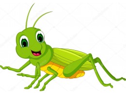 V naší třídě máme cvrčky