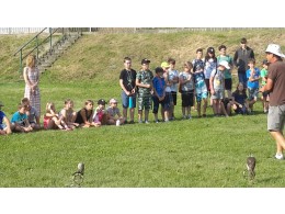 Projektový den