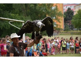 Dravci a piknik