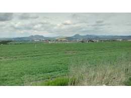 Učivo - 8. (do 11. 5.)