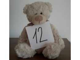 Učivo - 12. týden