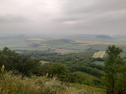 Milá