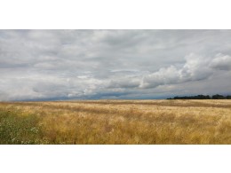 Rozloučení