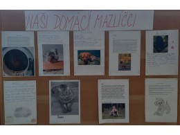 Naši domácí mazlíčci