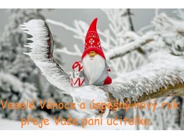 Veslé Vánoce a šťastný nový rok